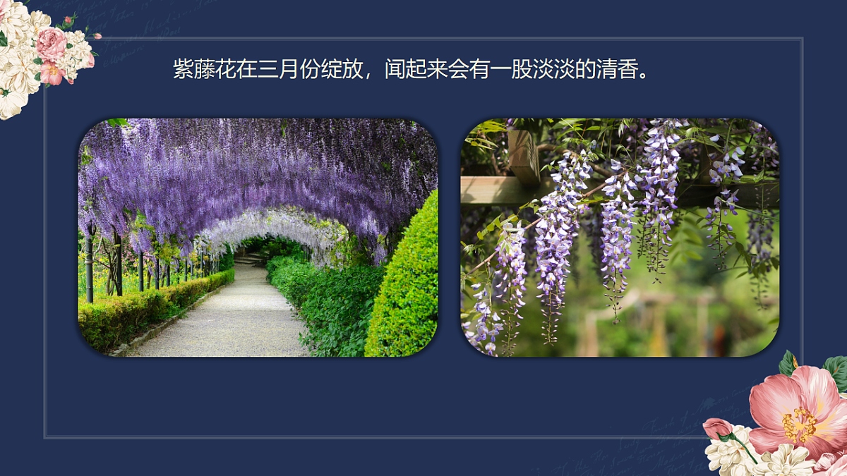 17597971第7页