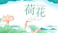 学前教育《荷花》课件
