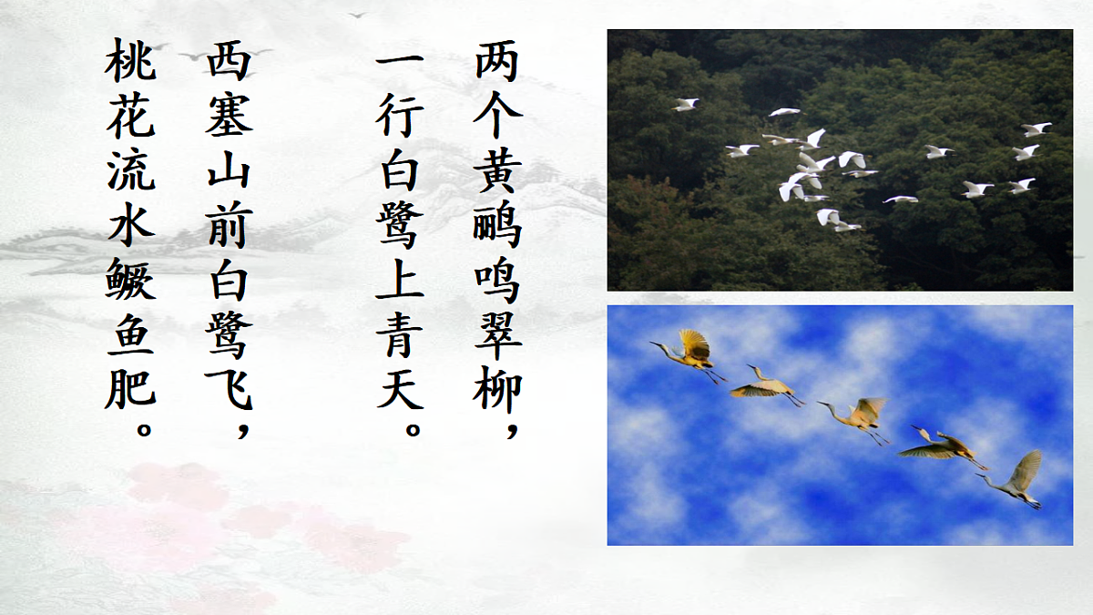 17598932第2页