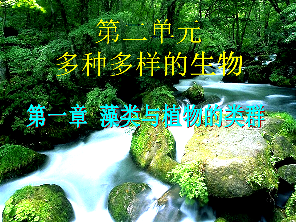 17599179第1页
