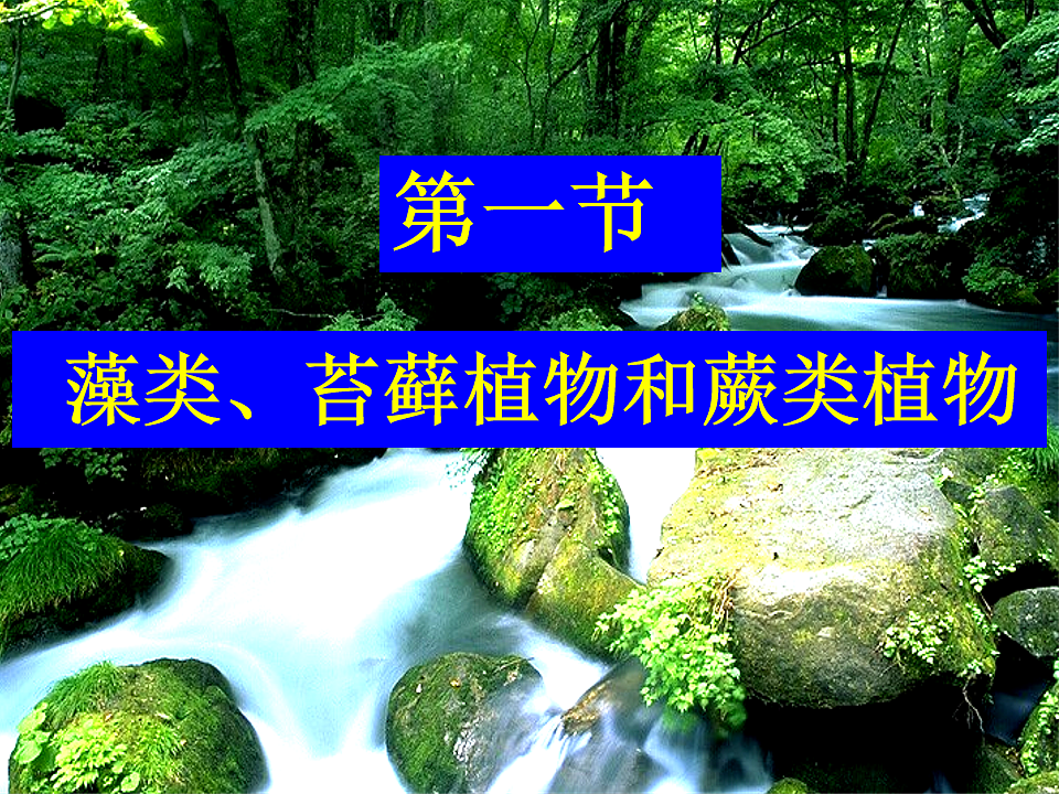 17599179第2页
