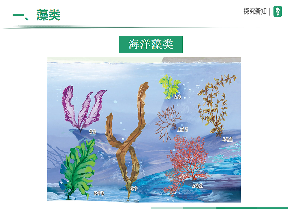 17599179第5页