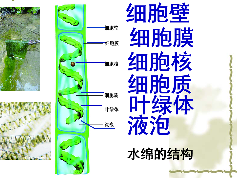 17599179第6页