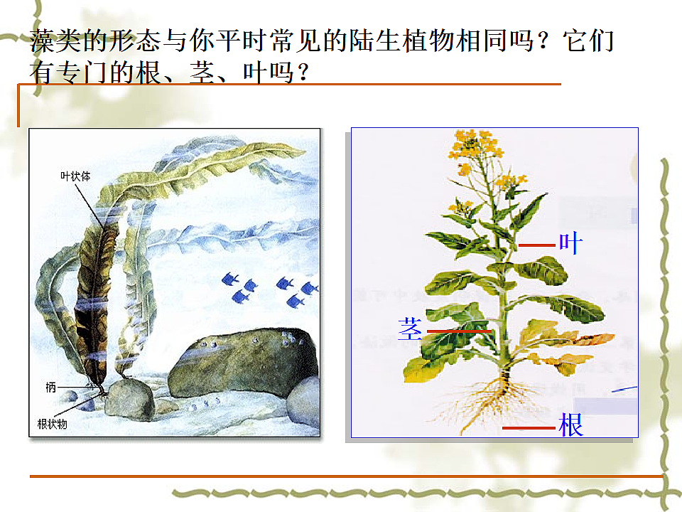 17599179第7页