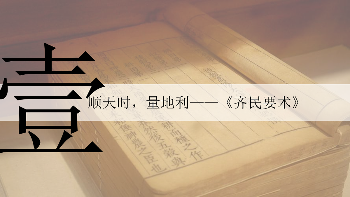 17599231第4页