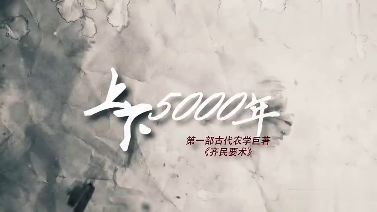 17599231第5页