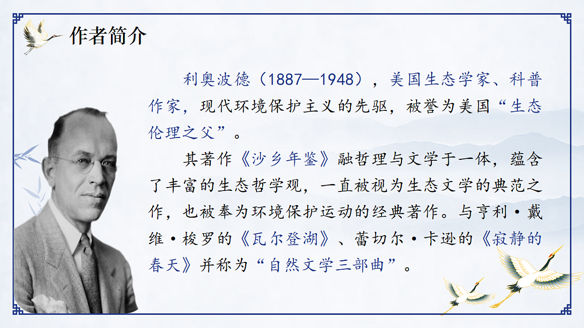 17599395第2页
