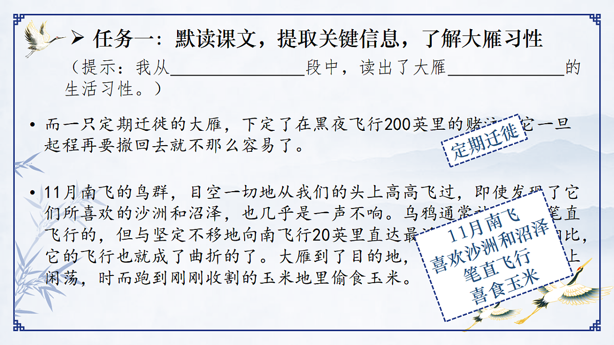 17599395第4页
