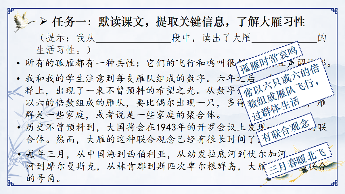 17599395第5页