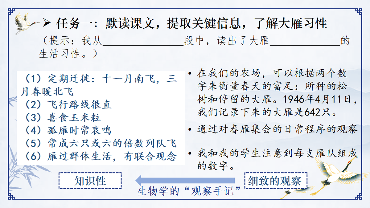 17599395第6页