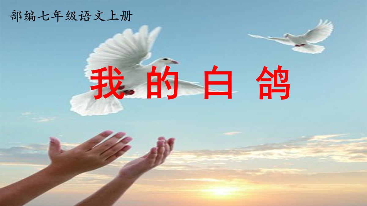 17599398第1页