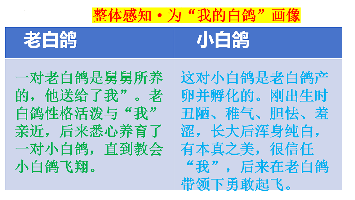 17599398第7页