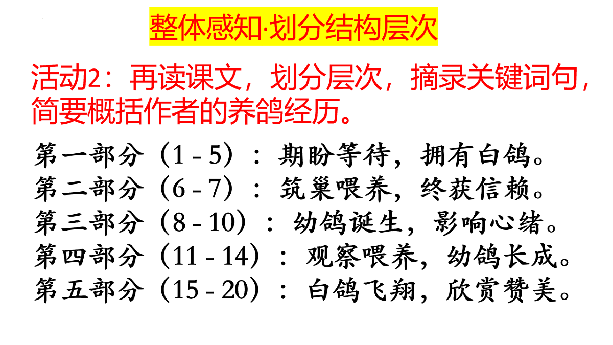 17599398第8页