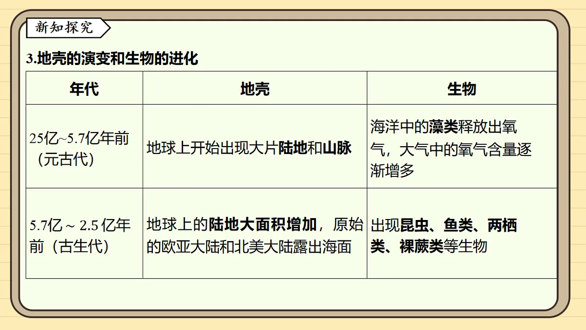 17599464第5页
