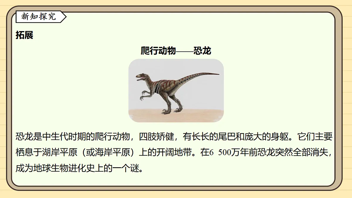 17599464第7页