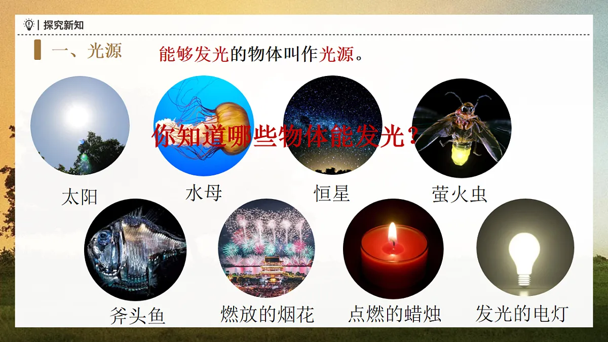 17599581第5页