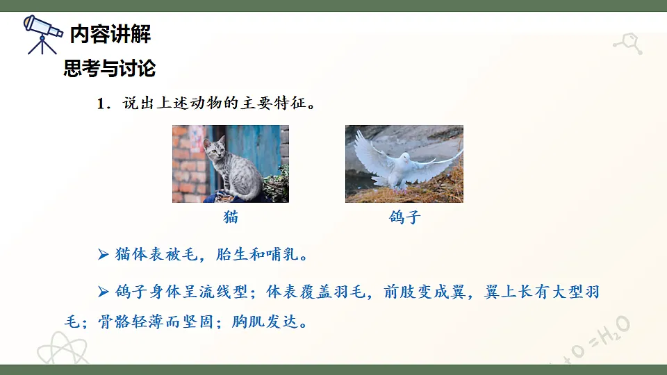 17601962第8页