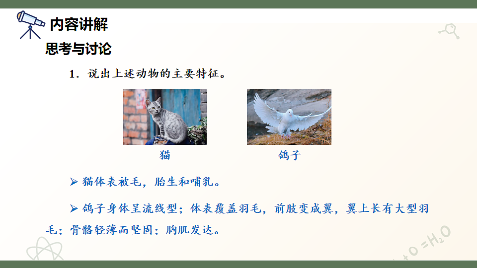 17601962第8页