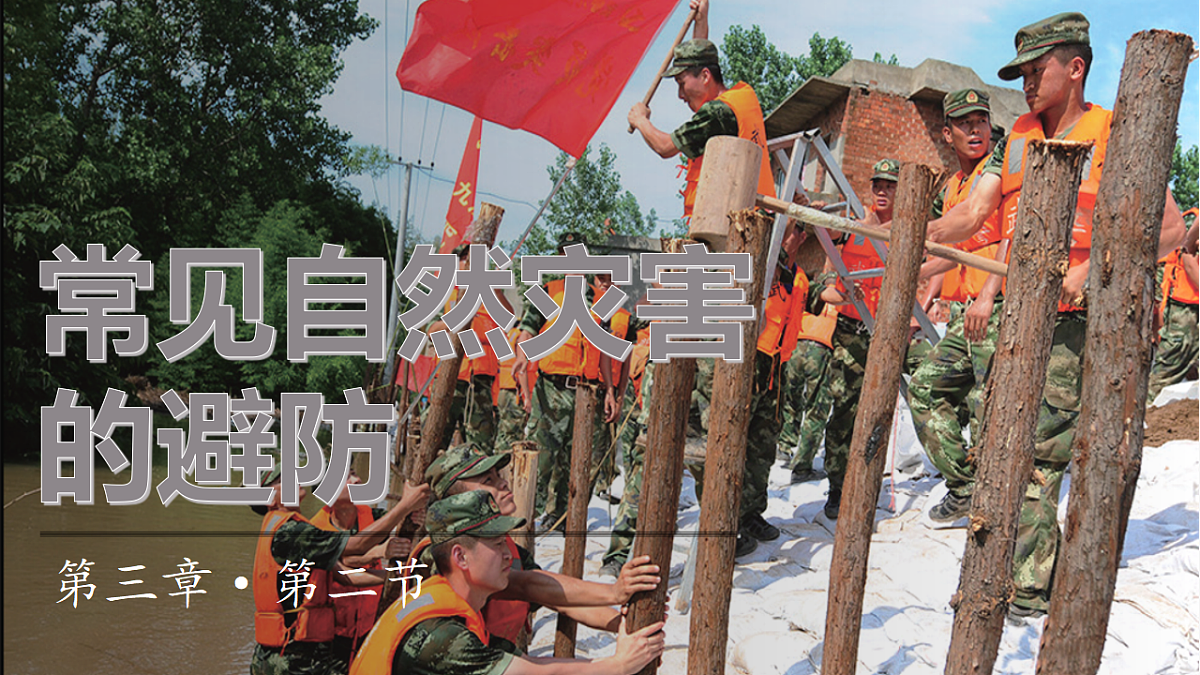 17603767第1页