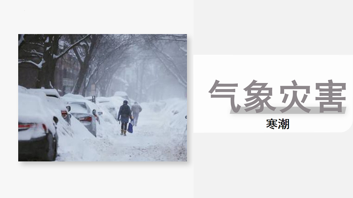 17603768第2页
