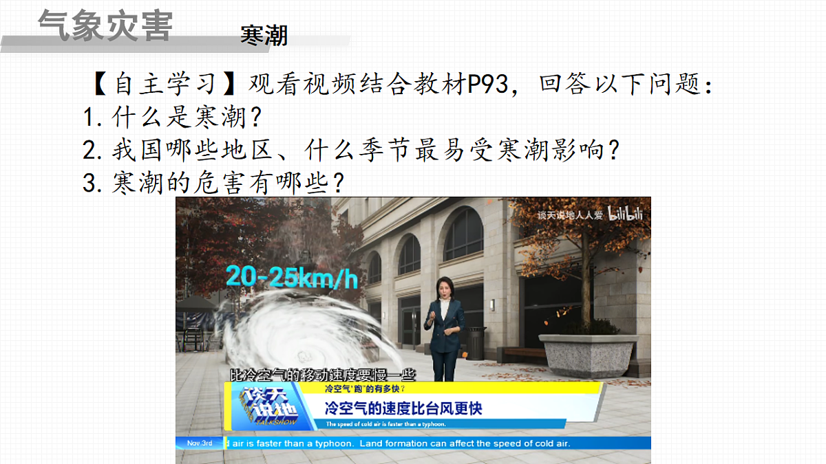 17603768第3页