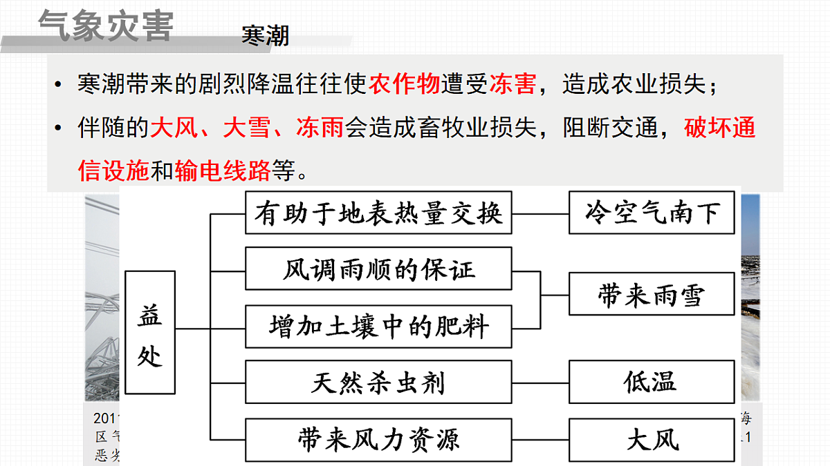 17603768第5页