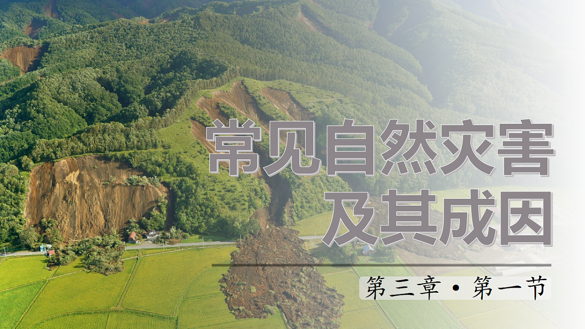 17603769第1页