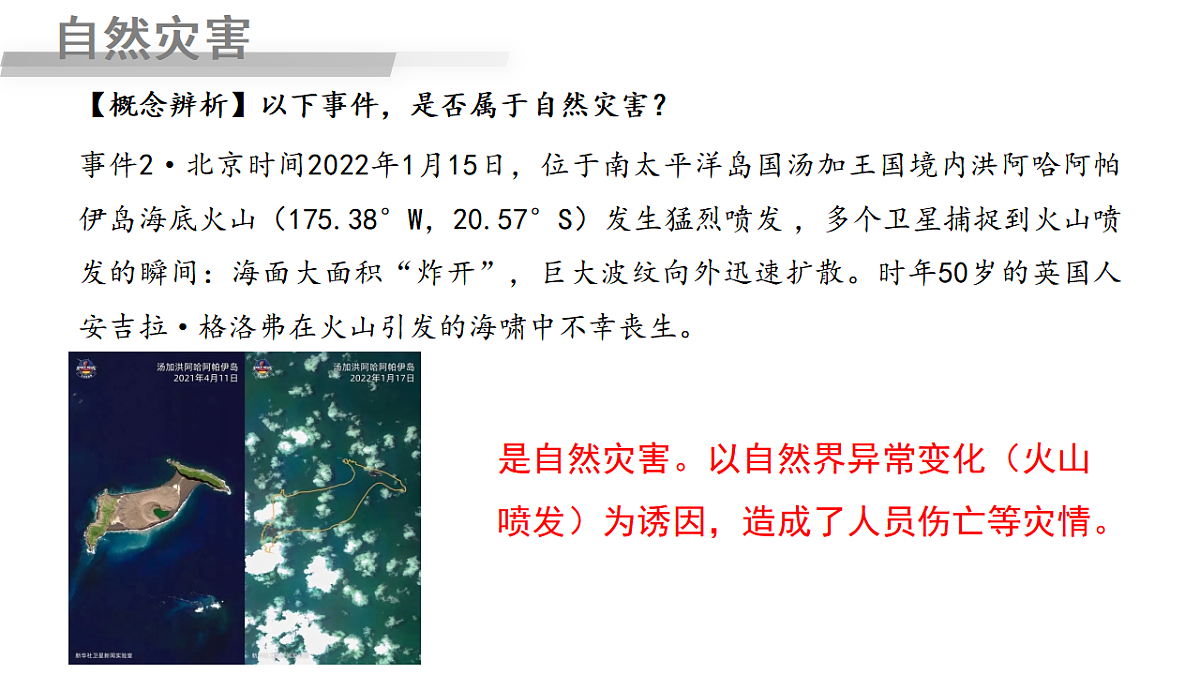 17603769第4页