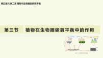 初中生物冀少版（2024）八年级上册（2024）第三节 植物在生物圈碳氧平衡中的作用教学课件ppt