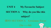初中人教版(2024)Unit 4 My Favourite Subject Section A习题课件ppt