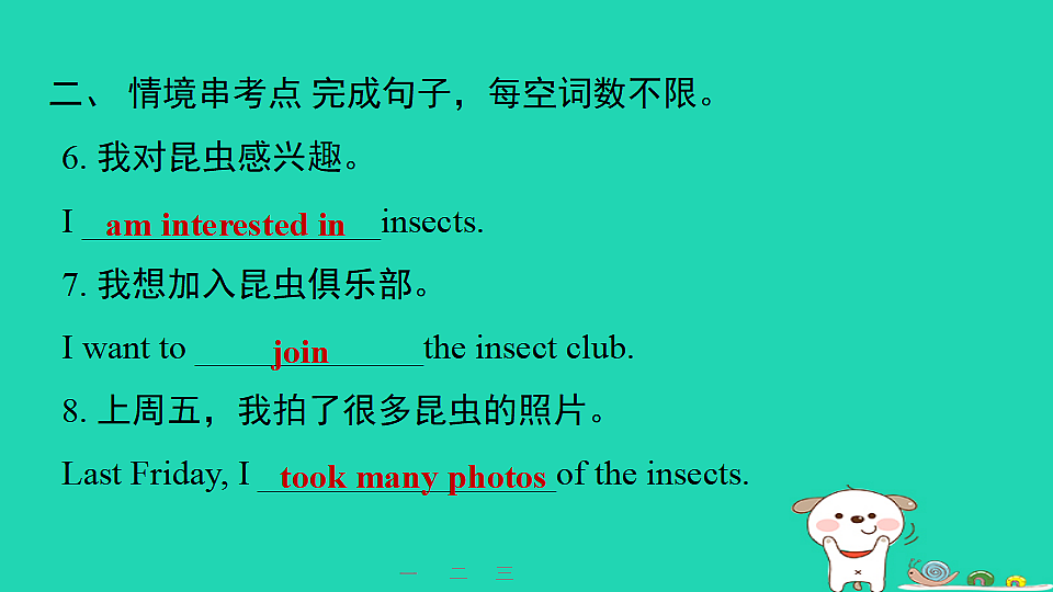 17604055第5页