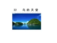 小学语文统编版（2024）五年级上册鸟的天堂授课ppt课件