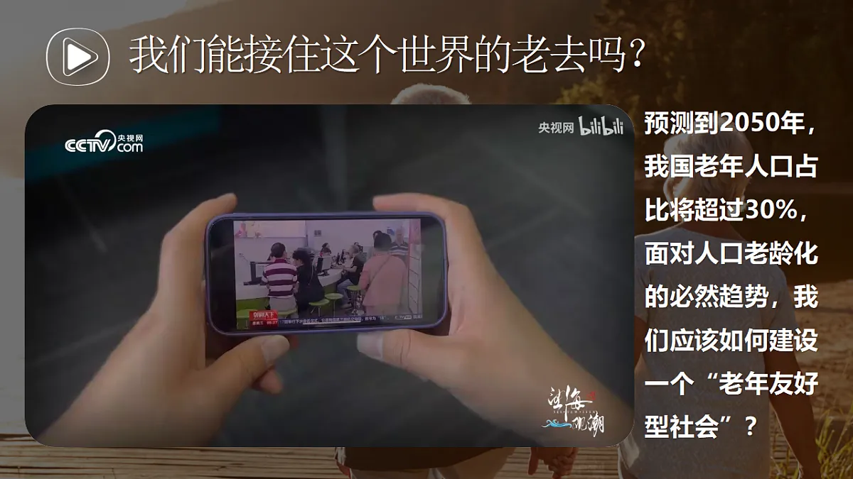 17607893第3页