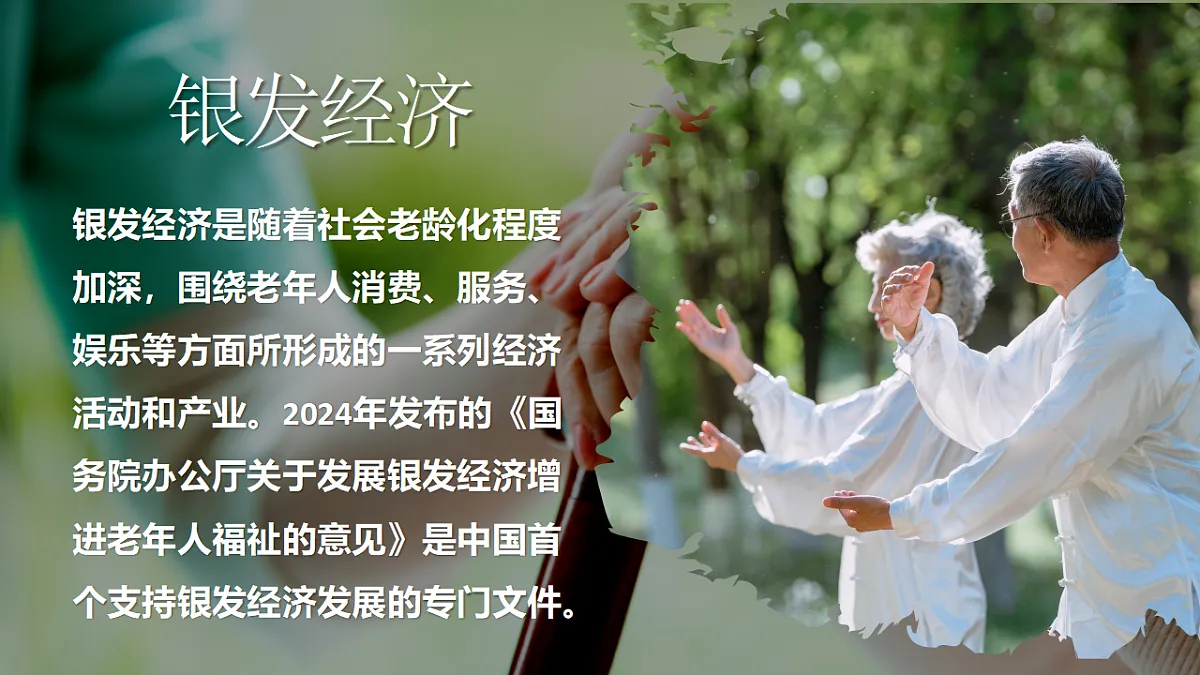 17607893第5页