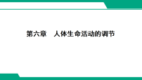 第六章　人体生命活动的调节课件+2026年中考生物学一轮专题复习（海南）
