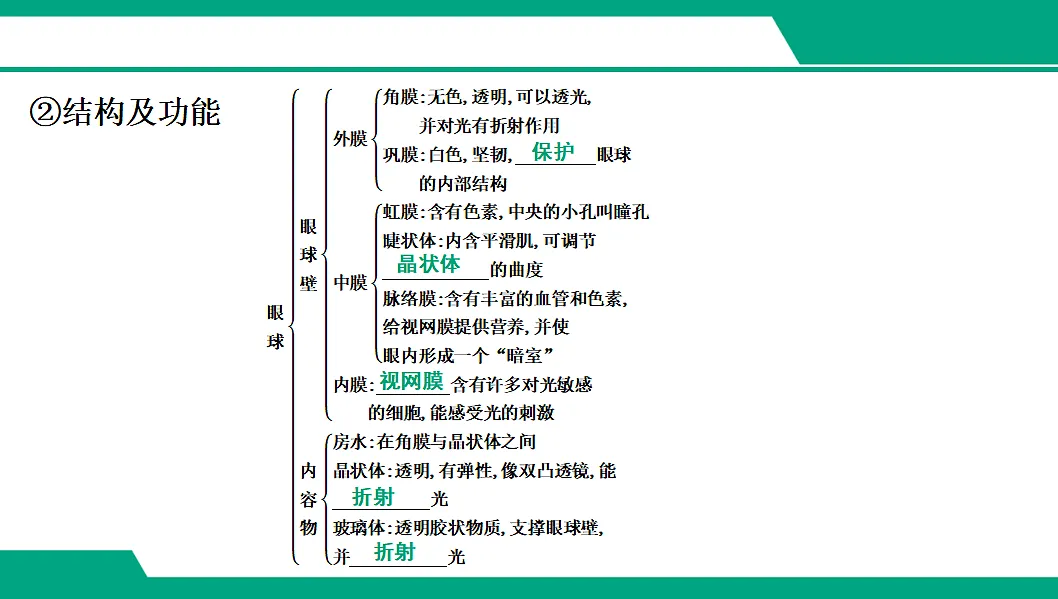 17608422第3页