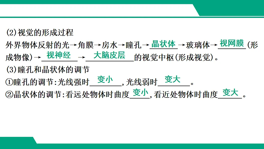 17608422第4页