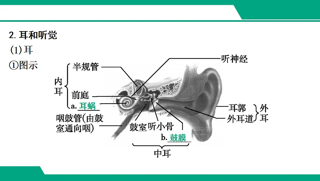 17608422第6页