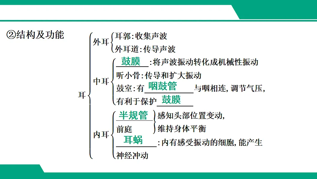 17608422第7页