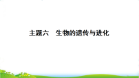 2026年人教版中考生物二轮复习：主题六生物的遗传与进化习题课件