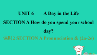 英语七年级上册（2024）Unit 6 A Day in the Life Section A说课课件ppt