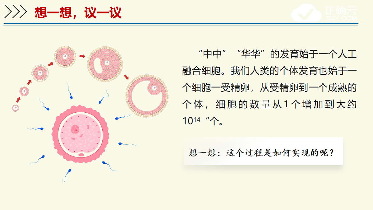 17609245第5页