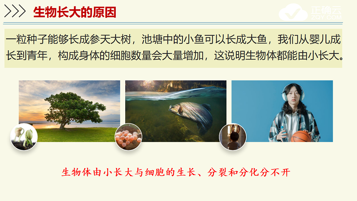 17609245第6页
