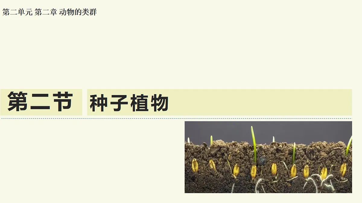 17609248第1页
