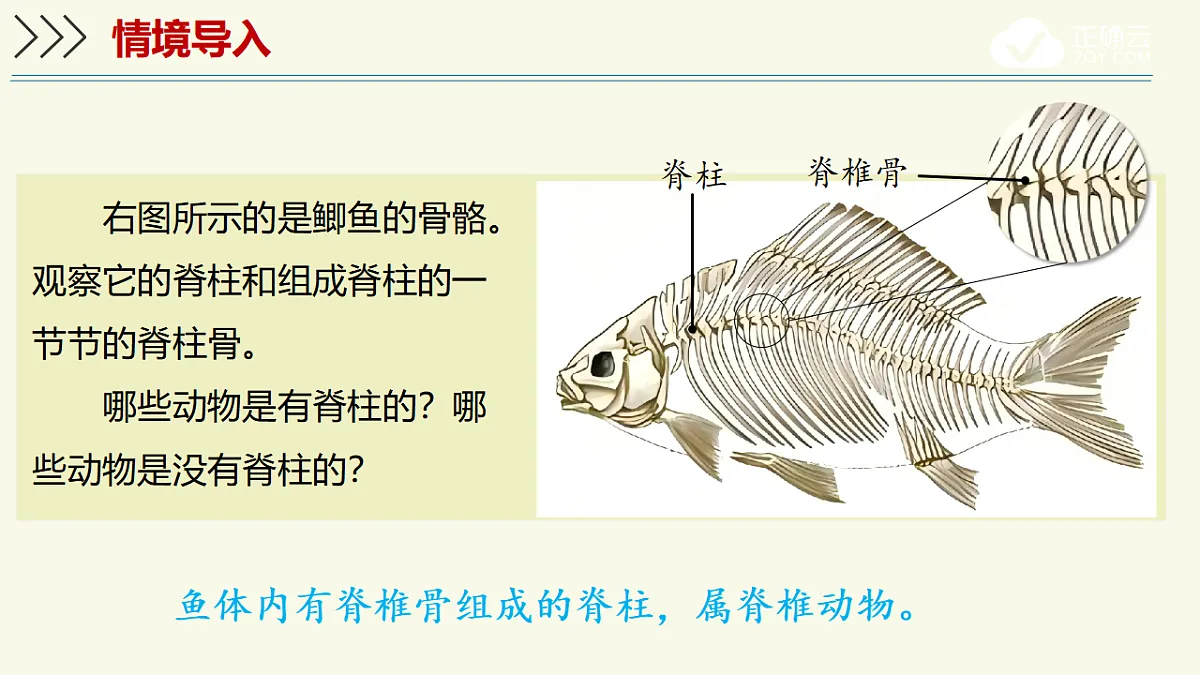 17609253第3页