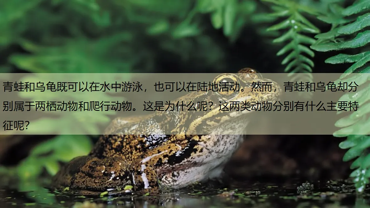 17609254第4页