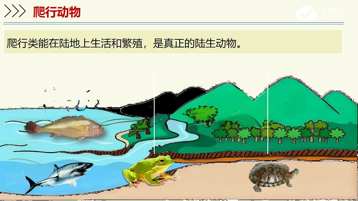 17609255第3页