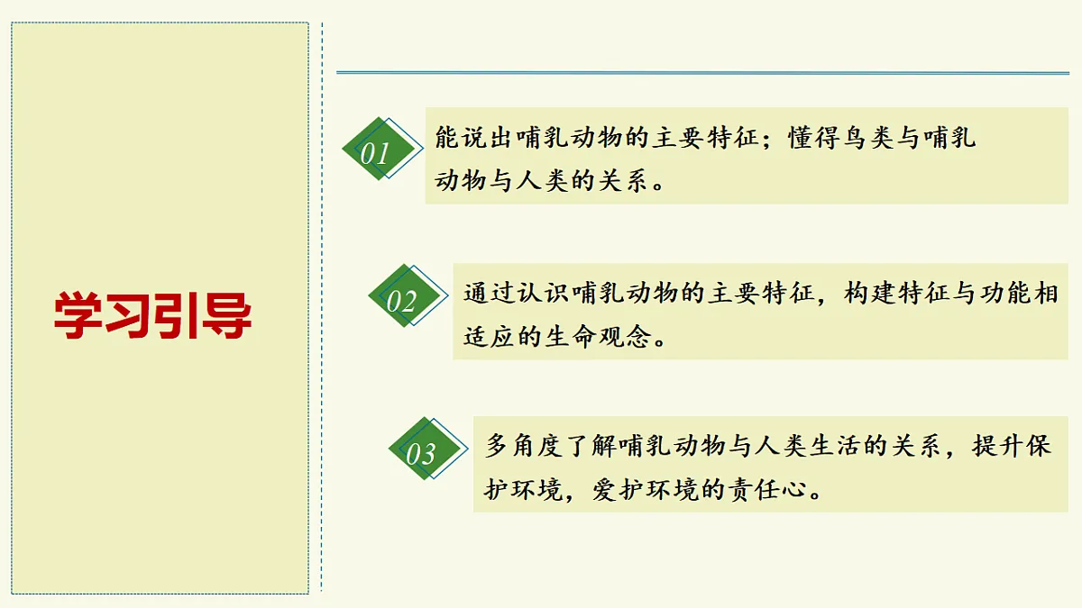 17609258第2页