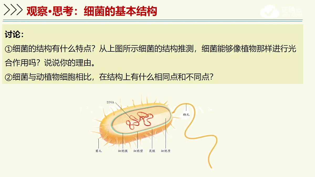 17609259第5页