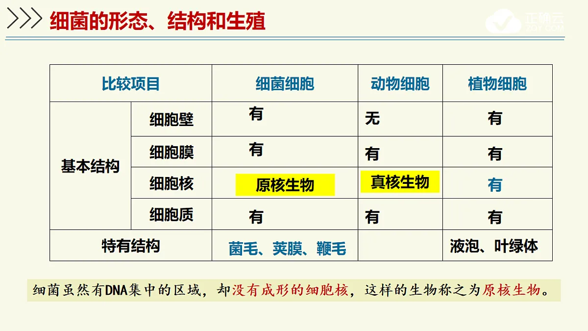 17609259第7页